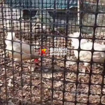 山东厂家直销黑色塑料网 家禽养殖的理想选择
